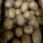 【予約１1月頃発送開始】おトクで美味しい！　愛媛県産　グリーンキウイ1Kg(10個前後）（風袋込み）