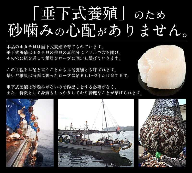 ホタテ 貝柱 1kg（約36〜40粒入り）ほたて 帆立［送料無料］ 冷凍ホタテ 肉厚 甘い ホタテ貝 ホタテ貝柱 冷凍 美味しい 1キロ 北海道 グルメ 海産物 海鮮 貝 お取り寄せグルメ 贈り物 母の日 プレゼント ギフト  母の日思いの 健康 実用的 父の日 子供 孫