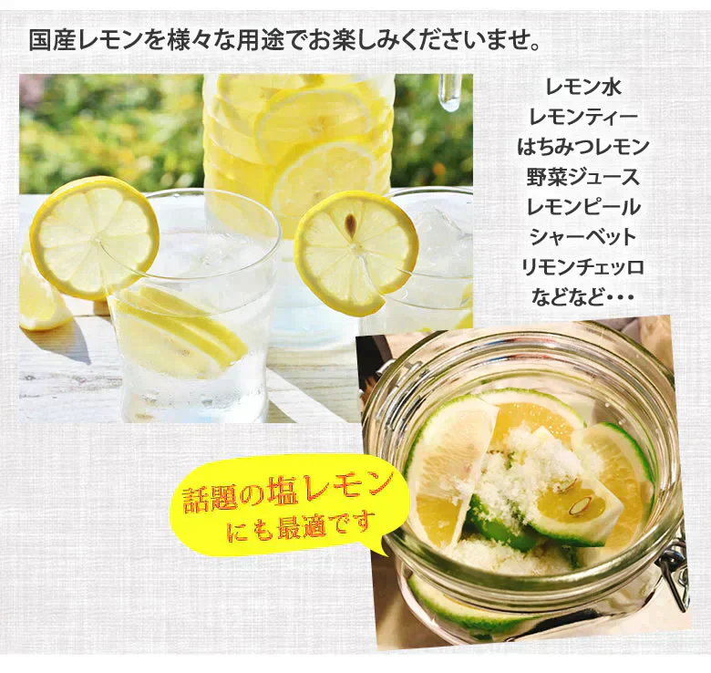 【9月下旬～10月上旬頃より順次出荷】レモン 国産レモン 送料無料 4kg 2S～L  熊本県産 減農薬 防腐剤ワックス不使用 れもん グリーンレモン 国産