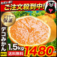 本場熊本産 訳あり デコみかん 送料無料 1.5kg 不知火 みかん ミカン 熊本県産 訳あり デコポン と同品種 熊本 柑橘  7-14営業日以内に発送予定(土日祝除く)