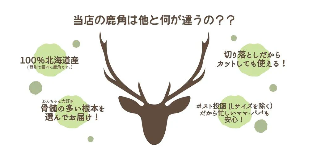 【送料無料】鹿角　Lサイズ　1本　ペット　歯石　口臭　ストレス解消　おもちゃ　お留守番　しか　ツノ