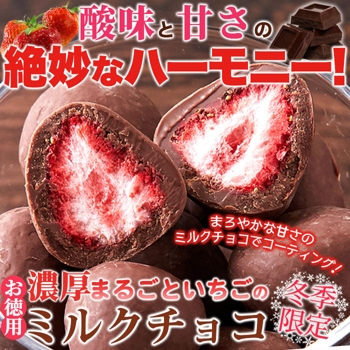 濃厚まるごと いちご の ミルクチョコ いちごチョコ どっさり16個(8個×2袋） 送料無料