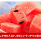 すいか 熊本県産 送料無料 訳あり スイカ 熊本すいか 1玉 S〜Mサイズ 4kg以上 果物 フルーツ 旬 食品 7-14営業日以内に出荷予定(土日祝日除く)