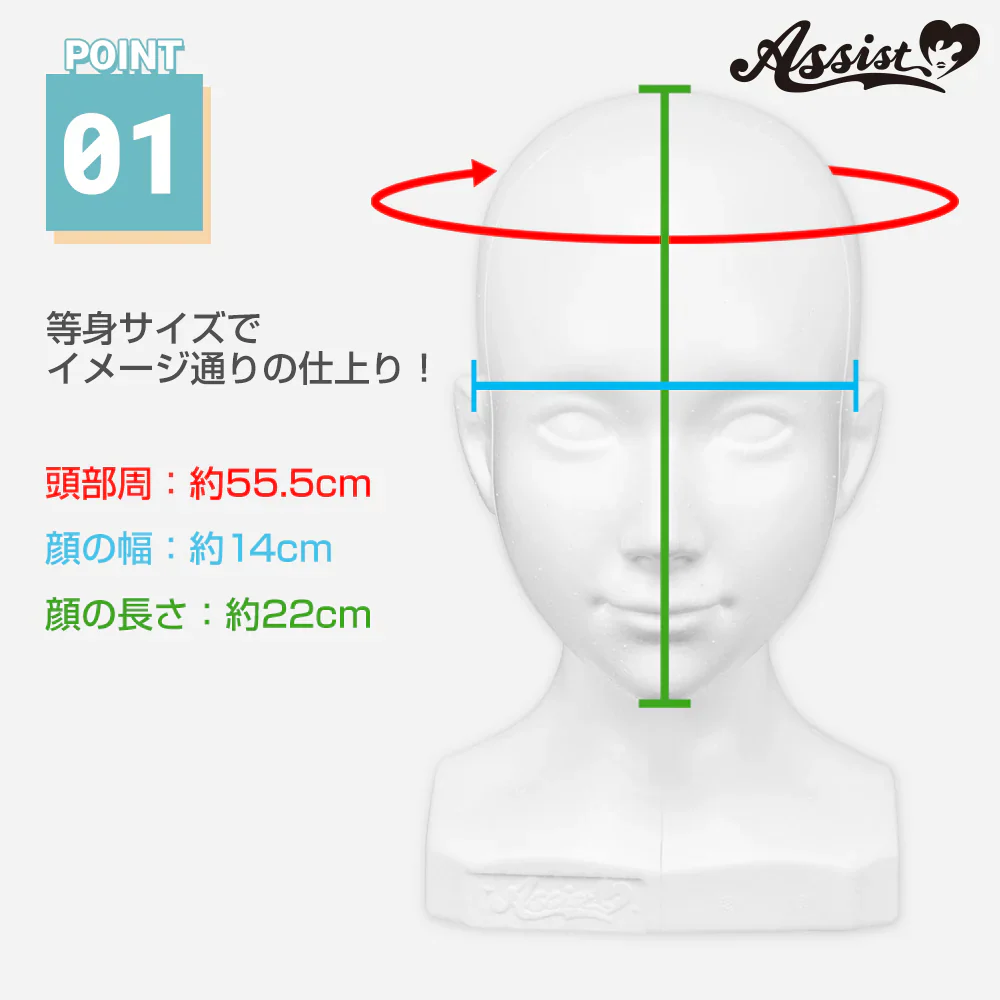 アシストウィッグ ★等身サイズ★発泡スチロールヘッドマネキン コスプレ ウィッグセット