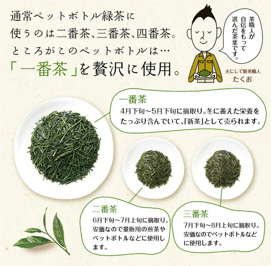 日本橋いなば園 茶匠庵 プレミアム緑茶ペットボトル 500ml×24本 静岡一番茶厳選 本格仕立て お茶 深蒸し茶 緑茶 送料無料 静岡茶 深むし茶 お茶 深蒸し煎茶 プレゼント 日本茶 お礼 茶匠庵 ギフト