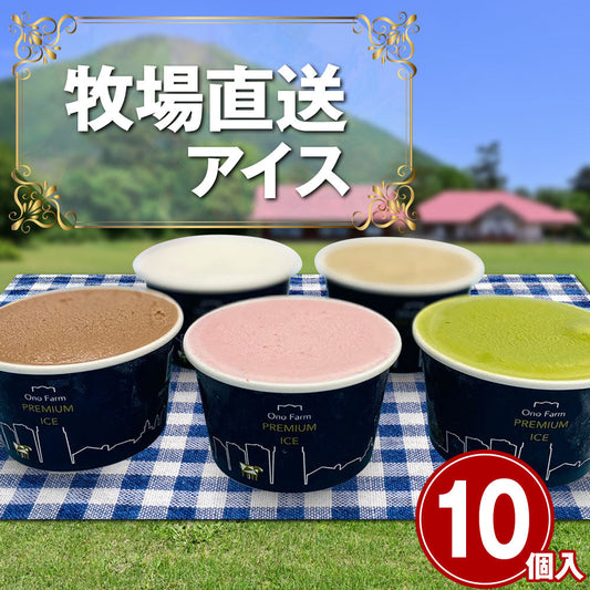 牧場直送アイス スタンダードセット 5種10個入【送料込み】【お届け不可地域：北海道・沖縄・離島】