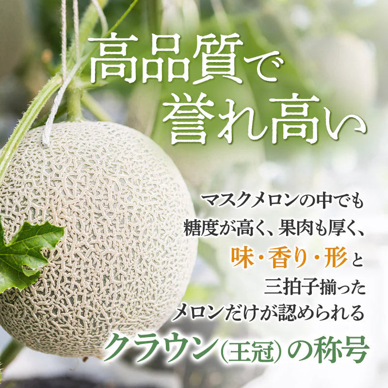【豊洲市場直送】静岡県産クラウンメロン 1玉