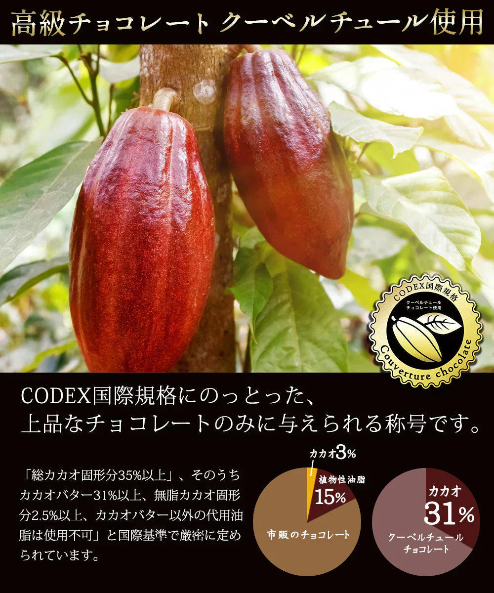 【ザッハトルテ】割れチョコ 200g×2個セット