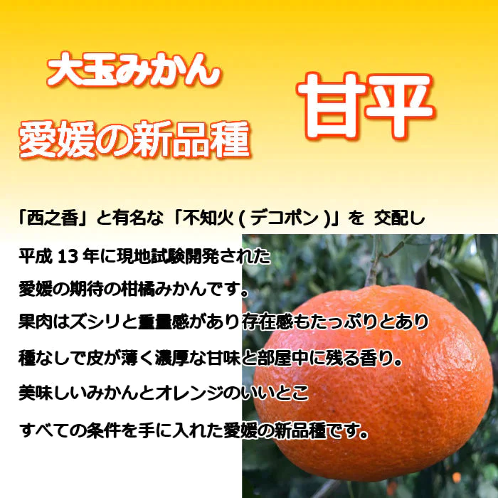 愛媛産 甘平 わけあり 2.5キロ サイズおまかせ みかん【3月上旬順次配送】