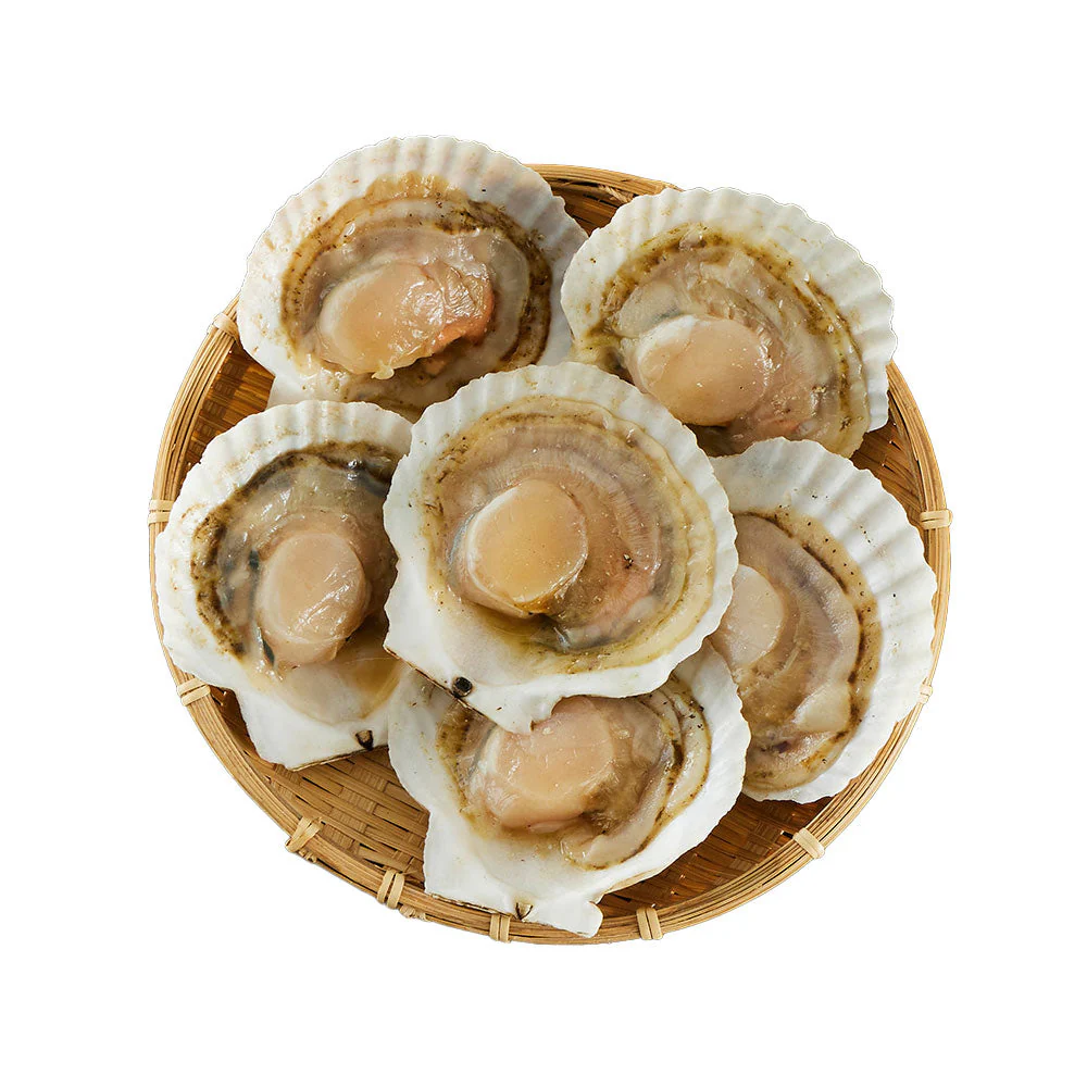 北海道産 帆立片貝 6枚(50g×6) 貝類 ホタテ【送料込み】【二重包装不可】【お届け不可地域：離島】