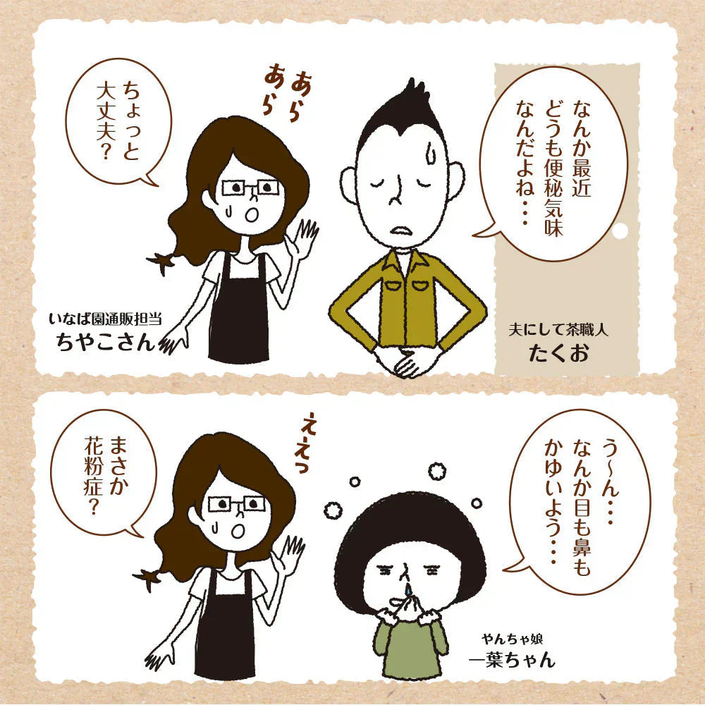 乳酸菌 サプリメント 粉末 33種の乳酸菌 30包入り 乳酸菌 メール便 送料無料 ダイエット 腸活