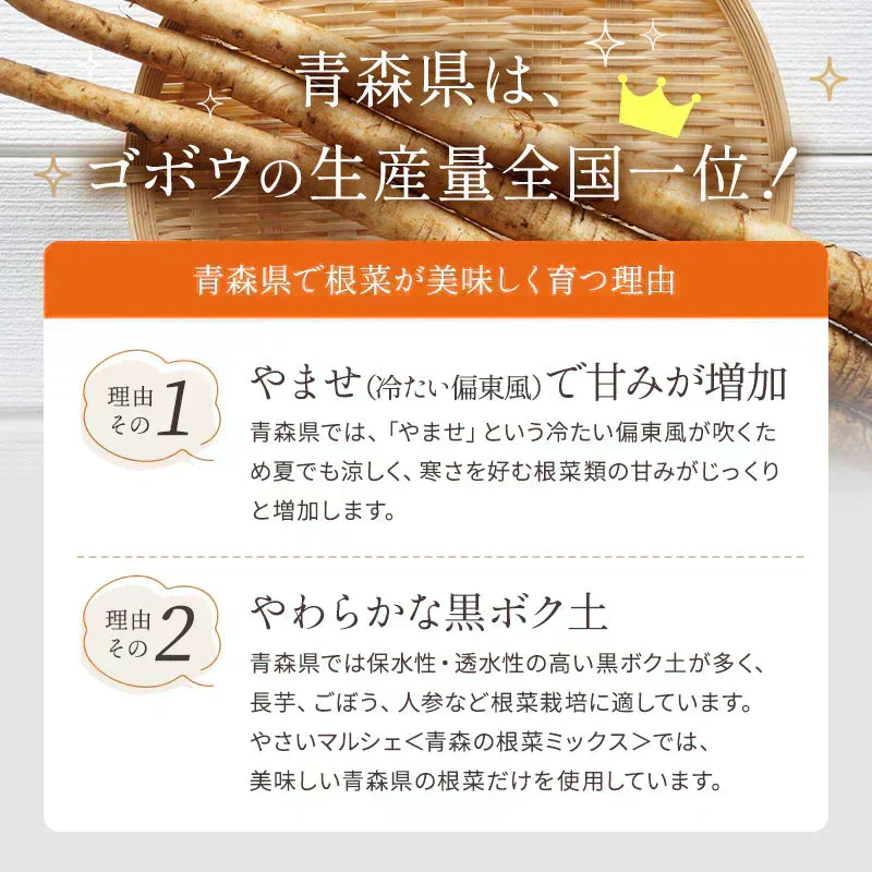 乾燥野菜 100g×1袋【青森の根菜ミックス】やさいマルシェ 無添加 ブドウ糖不使用 国産 乾燥野菜ミックス 簡単 時短 青森産 長いも 大根 人参 キャベツ ゴボウ アウトドア 災害常備菜 長期保存