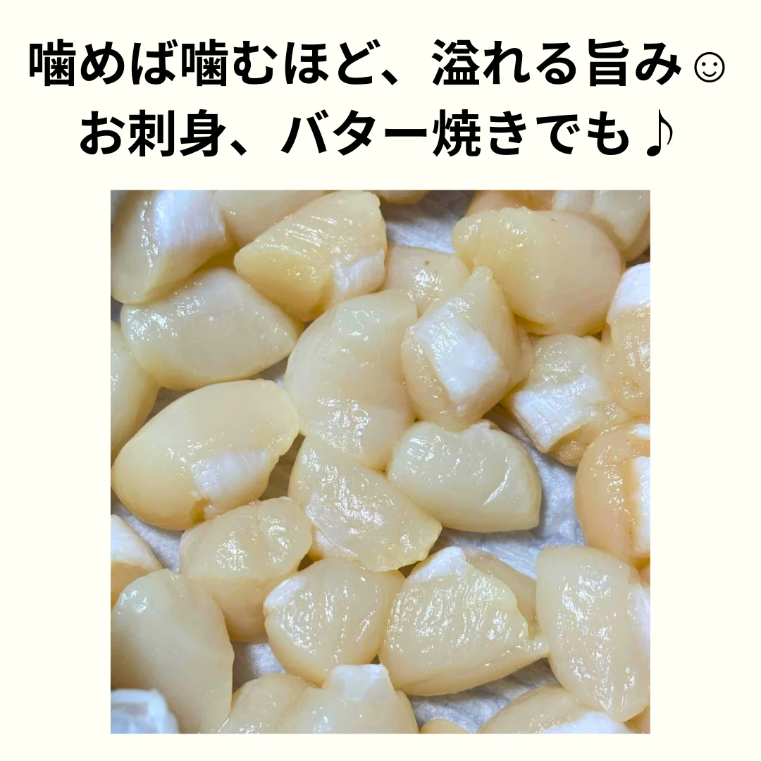 【全部で200-300粒】お刺身でどうぞ！ イタヤ貝 1kg(100g×10パック)  料理 便利 生食 刺身 いたや貝 小柱 ホタテ のような味わい 海鮮 貝 寿司 食品 市場
