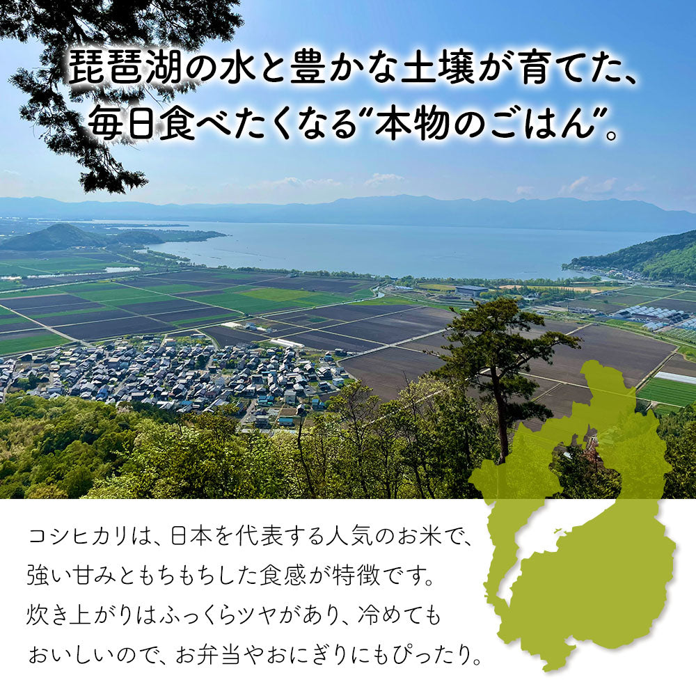 米 5kg 雪若丸 精米 山形県産 送料無料 令和6年産 ギフト 単一原料米 ブランド米 こめ コメ 白米 産地直送 kkb-005