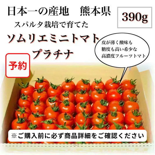 予約【１月前後から発送開始】お試し【希少な高濃度フルーツトマト】ソムリエミニトマト　プラチナ　３９０ｇ【カウシェファーム収穫対象商品】