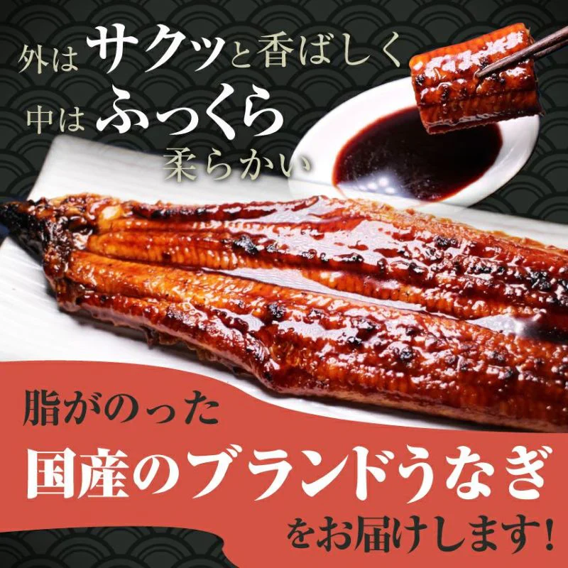 185g～215gｘ3本 特大うなぎ蒲焼 九州産