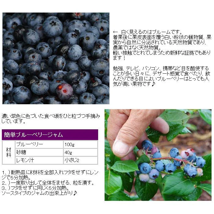 東北産 冷凍ブルーベリー１kg