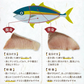 ブリ3種　約1.3kg（ブリ刺身、ブリ漬け、ブリ切り落とし）