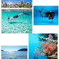 Gopro防水ケース ゴープロ7/6/5 HERO7Black/HERO6/HERO5 アクセサリー 防水ハウジング 防水 ケース フレーム 防水検査済 海 水中 GoPro ゴープロ