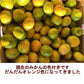 熊本産 みかん 訳あり 約10kg（箱込10kg 9kg+保証分500g）ご家庭用 送料無料 ※不良500g以上の場合は再送対応可能【ご新規さん限定商品】