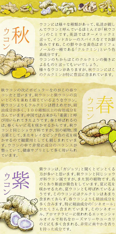 【大容量★約6ヶ月分】healthylife ウコンばくだん【6種のウコン＋クルクミン＋肝臓エキス 二日酔い対策 疲れ 肝臓エキス 飲みすぎ 食べ過ぎ】360粒 お酒で潰れたくない 二日酔いしたくない 脂っこいものをよく食べる 生活習慣が乱れている どのウコンがいいか迷っている クルクミン 肝臓エキス 食べ過ぎ 飲み過ぎに おすすめ 人気 ランキング 効果 強力 最強 通販 日本製 国産 健康サプリ 健康食品