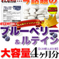 お得２袋セット【メガ盛り 大容量お得8ヵ月分】ブルーベリー＆ルテイン サプリメントスマホをよく使う 目の疲れ デジタルケア 目 目のケア 約4ヵ月分×２袋 お得 ビタミンA アントシアニン 含有 240粒 ブルーベリー ルテイン 売れ筋 爆安 格安 お得 激安 コスパ最高 コスパ最強 お肌 健康食品 20代 30代 40代 50代 60代 健康サプリメント 大容量 日本製 おすすめ 国産 マリーゴールド抽出物 サプリ サプリメント ルテイン ビタミンA ブルーライト