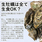 【生食OK】三陸産 殻付き 生牡蠣 3kg 今季初出し 希少 数量限定 新鮮 宮城 石巻 鉄分 ミネラル豊富 希少 貝 魚介類 かき 栄養 海の幸