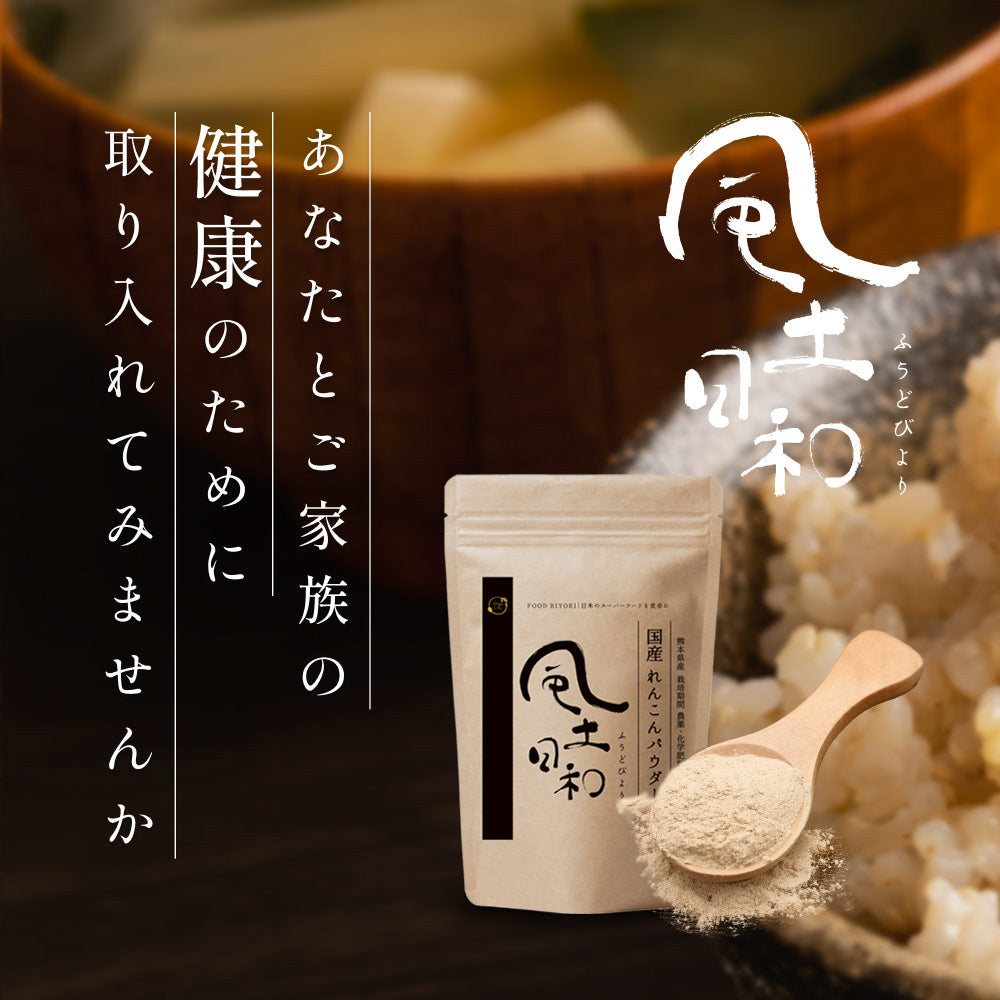 れんこんパウダー 国産 70g 無農薬 粉末 レンコンパウダー ポリフェノール レシピ 離乳食 ヨーグルト スイーツ 食物繊維 タンニン れんこん 蓮根パウダー 野菜パウダー レンコン粉 熊本県産 化学肥料不使用 送料無料