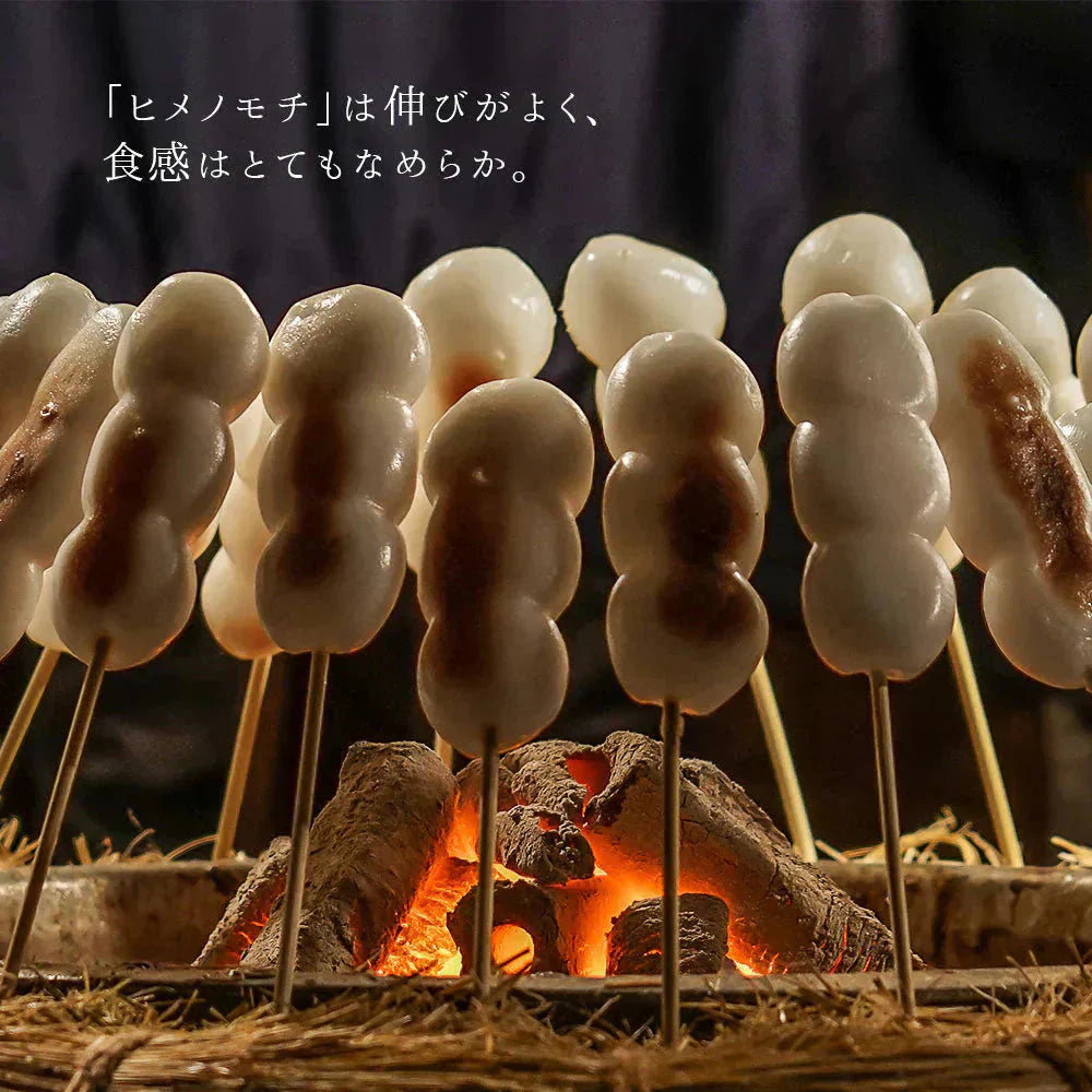 もち米 5kg 山形県産 ヒメノモチ 令和7年産 餅米 国内産 新米