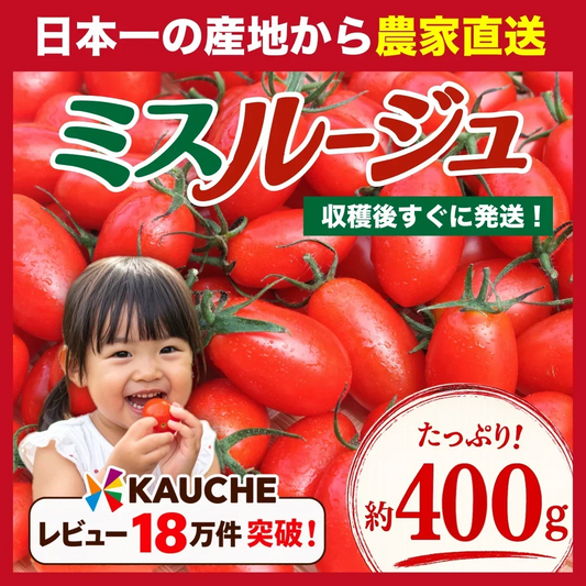 【1月から順次発送】【予約】たっぷり約400g！ミスルージュ ミニトマト(230~250g+保証分150g)日本一の産地から農家直送 熊本県産 野菜 青果 フルーツ【カウシェファーム収穫対象商品】