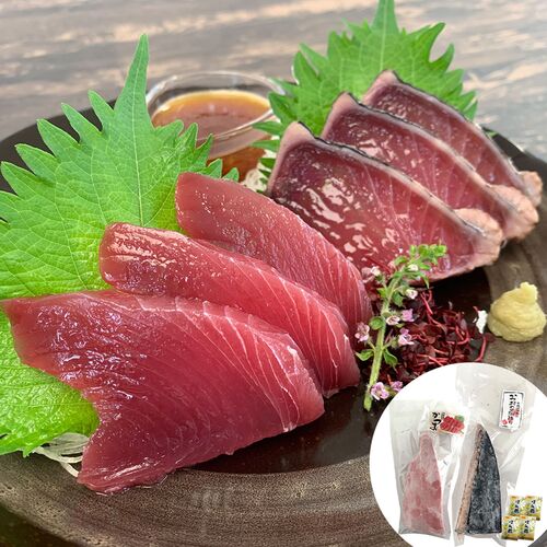 静岡 一本釣り鰹尽くし