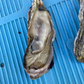 人気商品！生食でも焼いても美味しい！！宮城県産　　冷凍牡蠣1ｋｇ入り