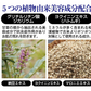 ツブ・ナイトK　ゲル【顔　首元　目元　ポツポツ　角質粒】【パックタイプと併用で効果的！　日本製】