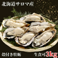北海道 牡蠣 3Kg カキ サロマ湖産 生カキ 産地直送 生食用 殻付 カキ殻 大粒 殻 付き 牡蠣 グラタン牡蠣 北海道 お歳暮 年末 3キロ プリプリ 牡蠣 殻付き 牡蠣 ギフト 冷蔵 生きたまま 活牡蠣 かき 牡蠣 生食 紋別 冬グルメ