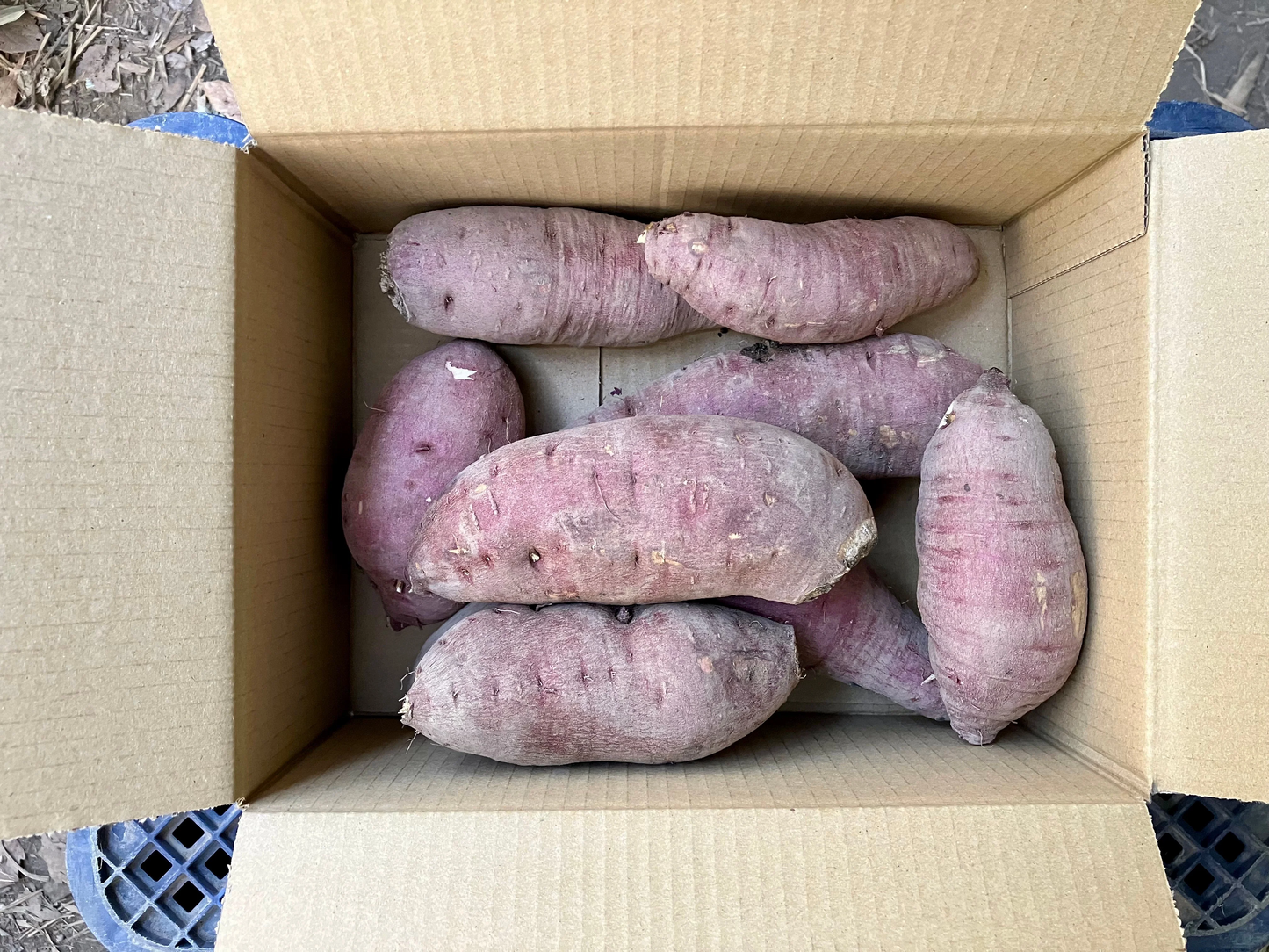 【鹿児島産】甘塩シルクサツマイモ箱込み2キロ^_^