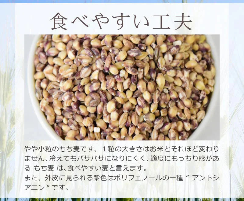 もち麦 国産 900g ダイシモチ 茶紫色 雑穀 送料無料