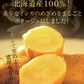 残り在庫わずか！　送料無料 インカのめざめポタージュ　10食セット　北海道　じゃがいも