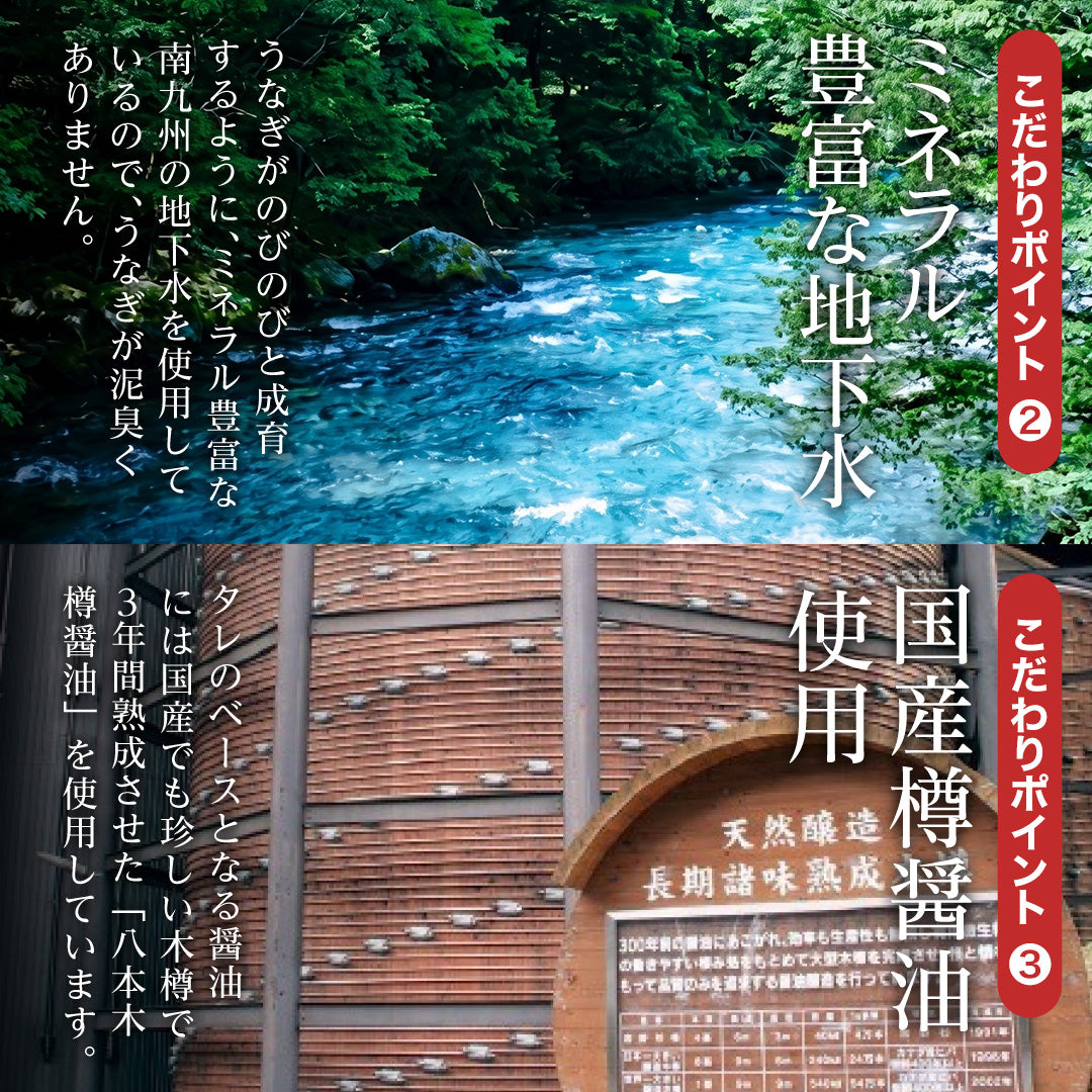 特大うなぎ蒲焼 約200gｘ2本 九州産