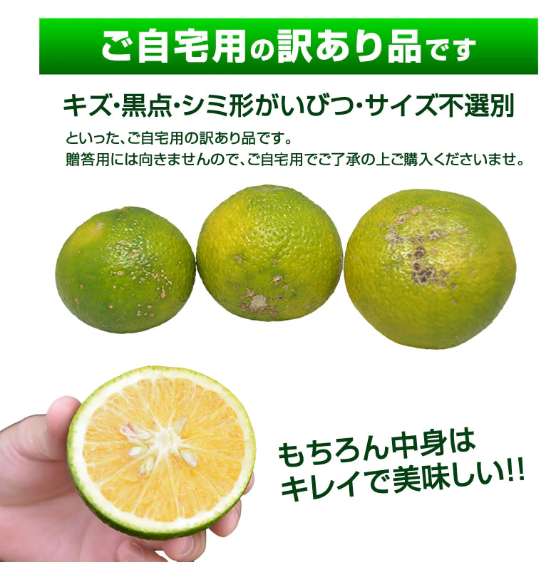 【12月中旬～下旬頃より順次出荷】スイートスプリング 10kg みかん 送料無料 訳あり 熊本県産 爽やかな甘さと香り 蜜柑 温州みかん 八朔 フルーツ