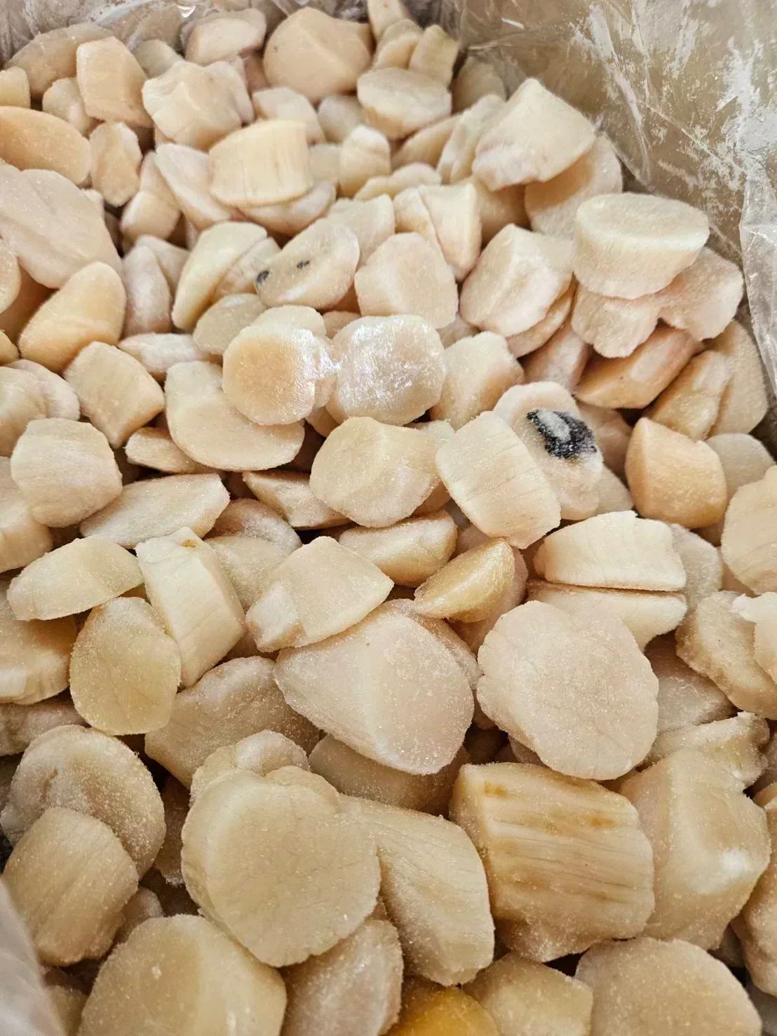 【訳あり】北海道産 ホタテ貝柱700g お刺身 訳あり