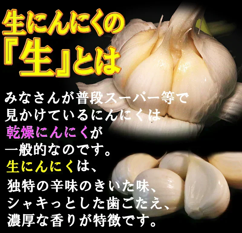 【即日発送】青森県産 幻の生にんにく 1kg【冷蔵便】 令和8年度産 Mサイズ以上L～2L混合