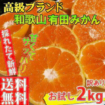 (11月上旬発送予定商品) みかん 2キロ 和歌山県 有田産 有田みかん