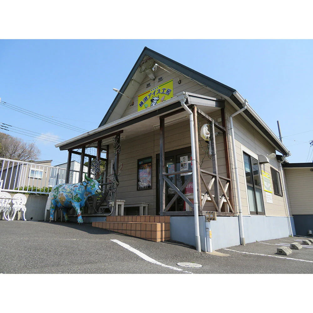 牧場直送アイス スタンダードセット 5種10個入【送料込み】【お届け不可地域：北海道・沖縄・離島】
