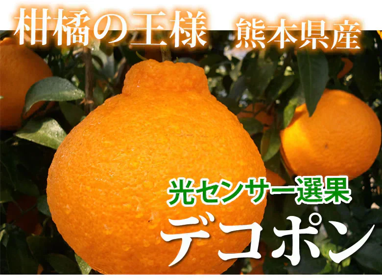 デコポン 光センサー選果 約5kg みかん 御歳暮 ギフト DEKOPON 熊本県産 不知火 フルーツ お取り寄せ 蜜柑 ミカン