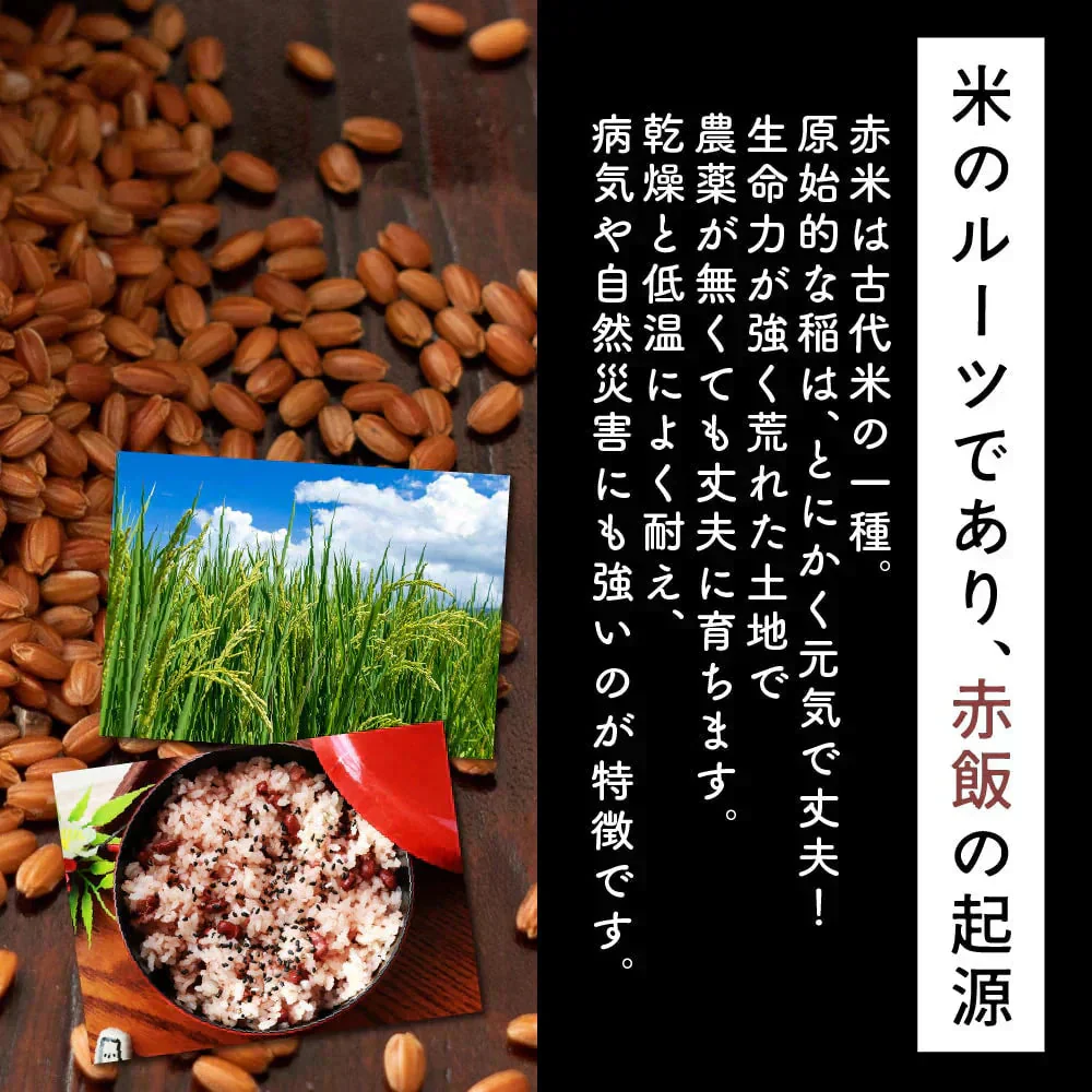 雑穀 雑穀米 国産 赤米 4kg(400g×10袋) 徳用サイズ 無添加 無着色 送料無料 古代米 あかまい