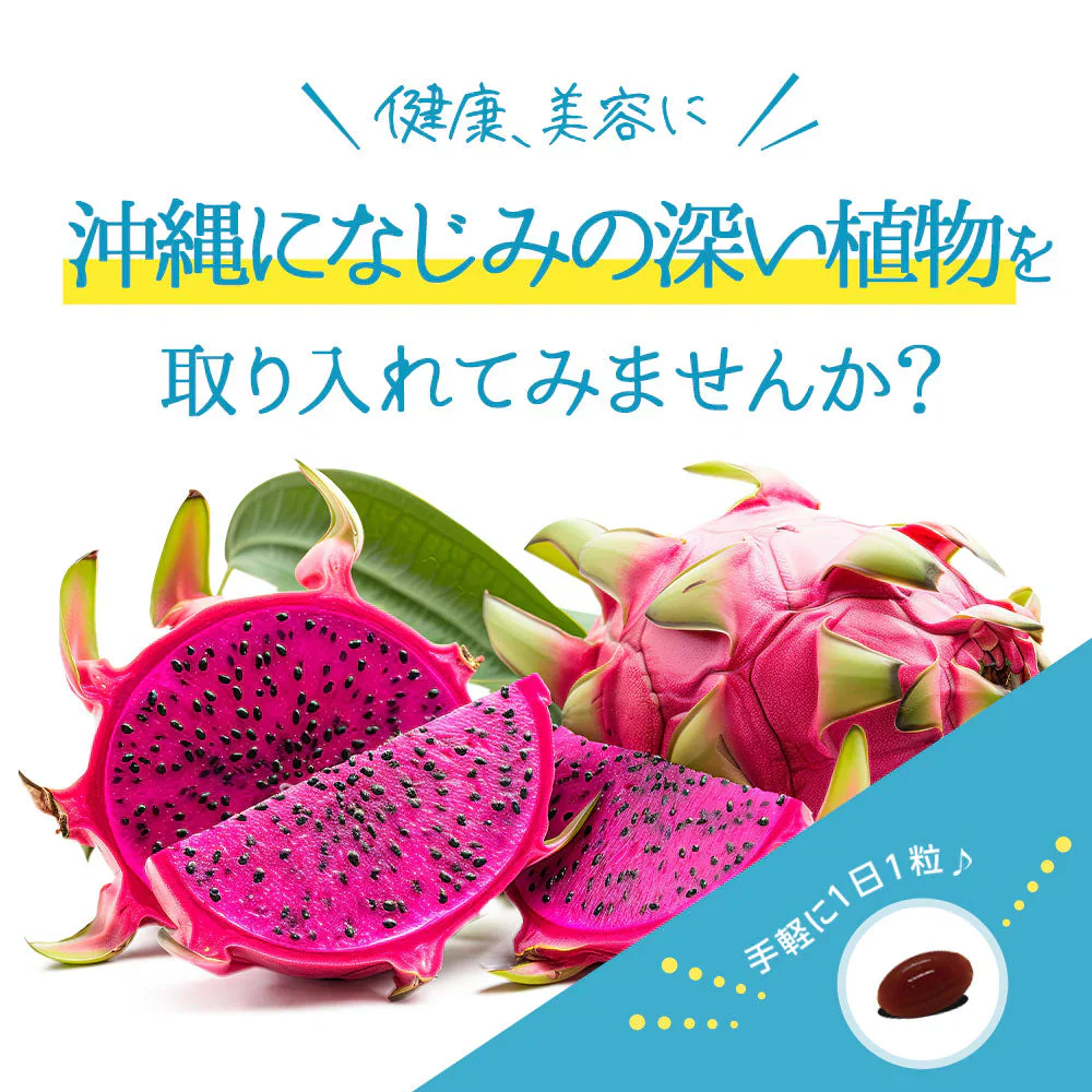 スラキュット《約3ヶ月分》サプリサンダル サプリ サプリメント カクタスフルーツ クミスクチン ヒハツ メリロート ダイエットサプリ ダイエット【大容量】