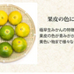 【10月上旬～中旬頃より順次出荷】みかん 訳あり 送料無料 1.5kg  熊本みかん 熊本県産 極早生みかん 蜜柑 ミカン