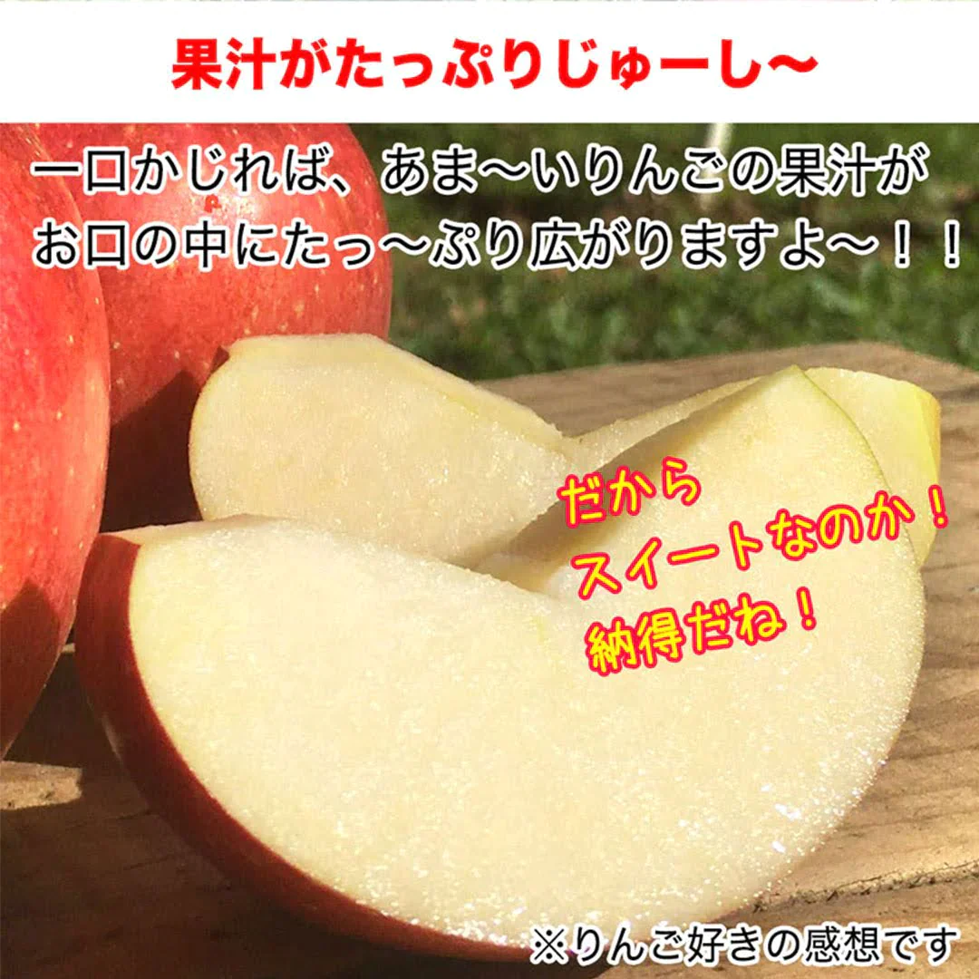 【2023年産予約開始！数量限定！】シナノスイート 訳あり 約4.5kg(11-25玉) やさしい甘さでジューシー！10月中旬頃発送開始予定 #YAS0B045