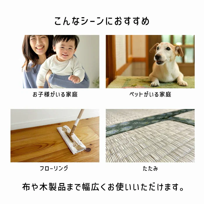 【単品】乳酸 カビナイトST 450ml 日本製 ミントの香り カビ取りスプレー カビ取り剤 お風呂 カビ取り カビ除去スプレー 床 フローリング 畳 木材 肌に優しい