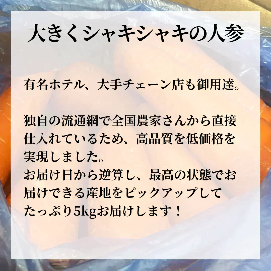 【有名ホテル御用達】甘〜い にんじん 10kg(1kg×10p) 農家 人参 ニンジン 野菜 フルーツ 青果 果物 フルーツ 市場 ギフト 食品 家庭用 贈答 料理